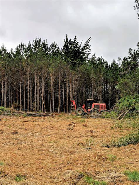 Parker Forestry Consultants - Boundary Line Maintenence - raincitystudios.com