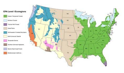 Part 1 -- Ecosites and Ecoregions JUNE 4 2010.indd - raincitystudios.com
