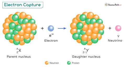 Part2 Other modes include electron capture and spontaneous - wintechmobiles.com