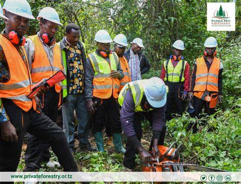 PARTICIPATORY PLANTATION FORESTRY PROGRAMME - raincitystudios.com