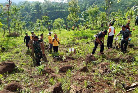 PARTISIPASI PETANI DALAM PENGELOLAAN HUTAN RAKYAT … - raincitystudios.com