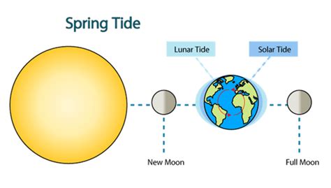 Pasang surut - Wikipedia bahasa Indonesia, … - wintechmobiles.com