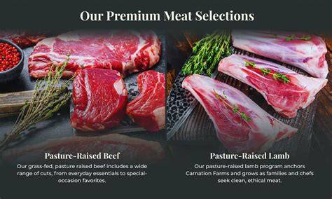 Pasture-Raised Meat & Eggs - Vintage Meadows - raincitystudios.com