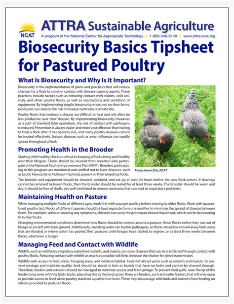 Pastured Poultry Fact Sheet - Sustainable Farming Association - raincitystudios.com