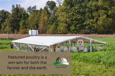 Pastured Poultry Profile | Agricultural Marketing Resource Center - raincitystudios.com