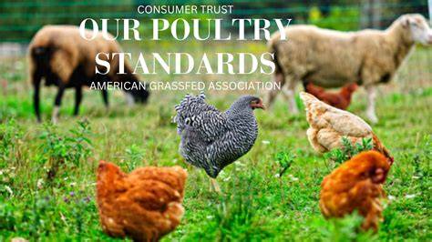 Pastured Poultry Standards - raincitystudios.com