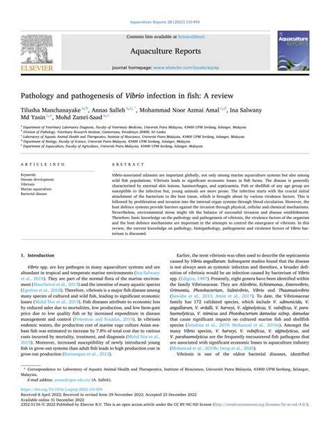 Pathology and pathogenesis of Vibrio infection in fish: A review - raincitystudios.com
