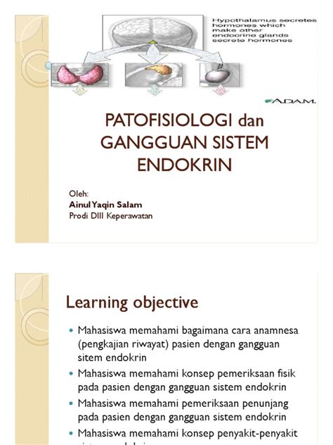 Patofisiologi Gangguan Sistem Endokrin | PDF - muktibox.com