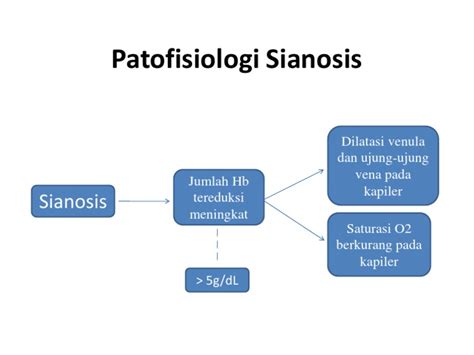 PATOFISIOLOGI SIANOSIS & HIPOKSIA - YUMPU