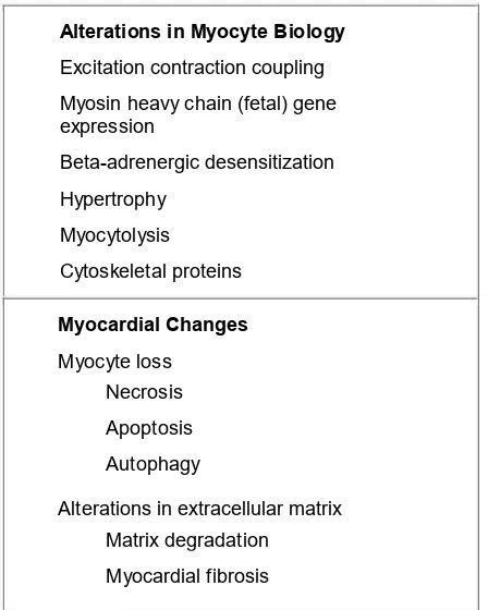 PATOGENESIS HIPERTROFI VENTRIKEL KIRI - Unand