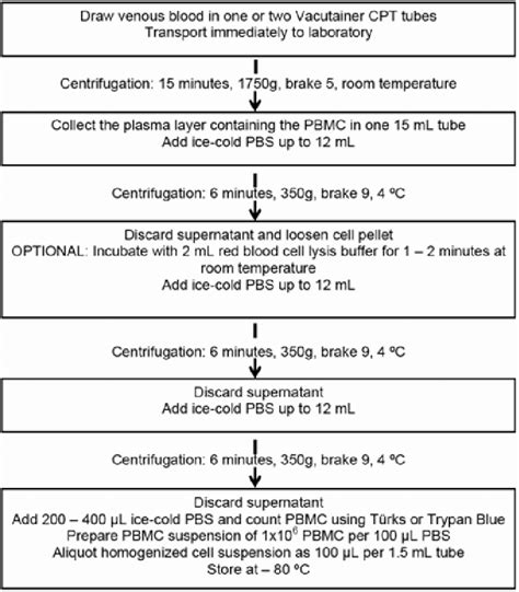 PBMC isolation protocol. Download Scientific Diagram