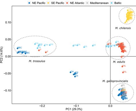 PCA Applied to Cardiovascular Dataset - wintechmobiles.com