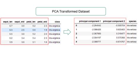 PCA in Data Science: A Quick Guide - wintechmobiles.com