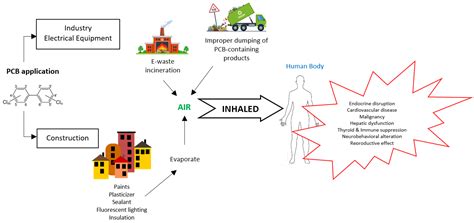 PCBs; Solid-Liquid Extraction; Automotive Shredder Residues; Gas ... - wintechmobiles.com