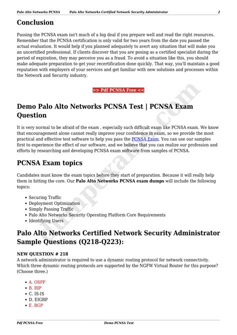PCNSA PDF Demo