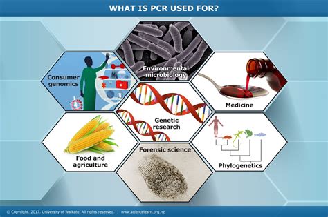 PCR Applications