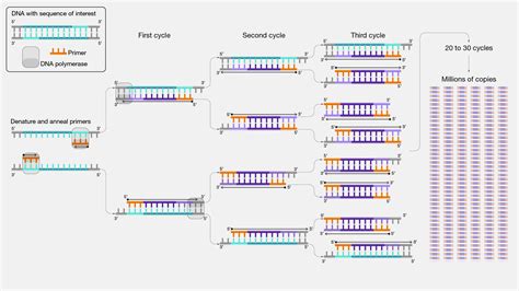 PCR Architecture