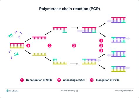 PCR - muktibox.com