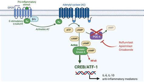 PDE-4 Inhibitor Cream Shows Promise for Psoriasis