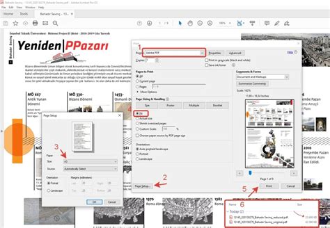 codini.rgarabwor.edu.pl. 