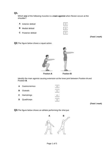 PE Aqa a level - Teaching resources - Wordwall