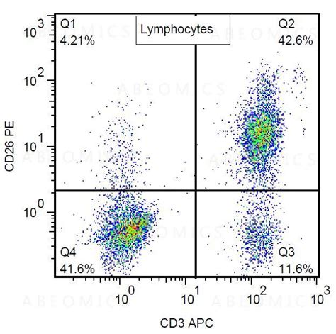 PE anti-human CD26 Antibody anti-CD26 - BA5b - BioLegend