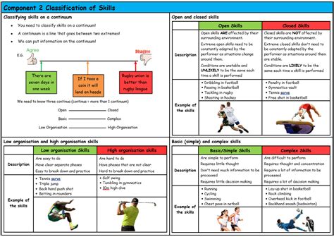 PE- Skills - Flashcards in GCSE Physical Education - The Student …