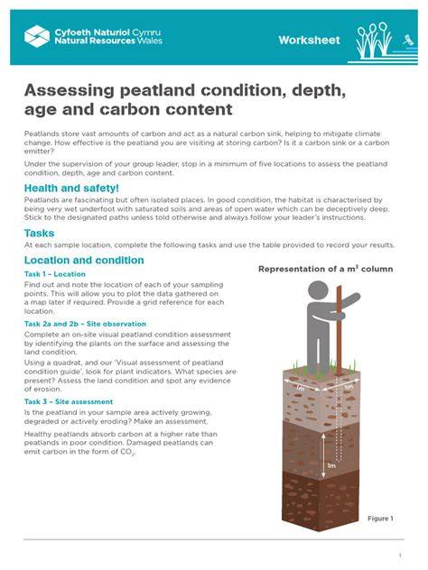 Peatland Condition Assessment - NatureScot - raincitystudios.com