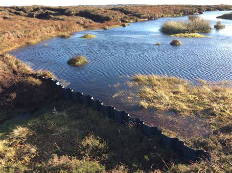 Peatland restoration and hydrology (Chapter 5) - Peatland Restoration ... - raincitystudios.com