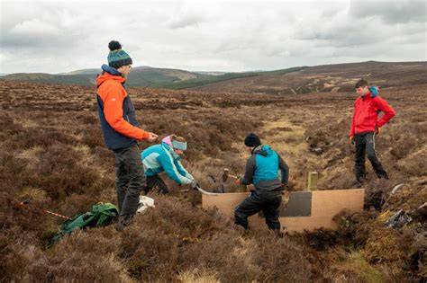 Peatland restoration and hydrology | Request PDF - ResearchGate - raincitystudios.com