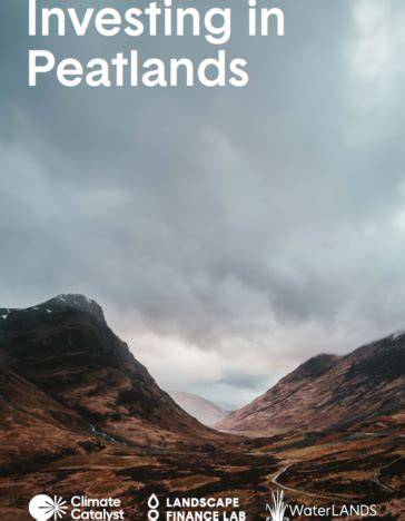 Peatlands: a hidden climate solution - Wetlands … - raincitystudios.com