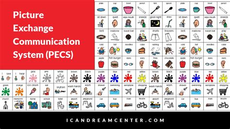 PECS – Picture Exchange Communication System Organization