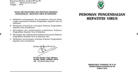 PEDOMAN PENGENDALIAN HEPATITIS VIRUS, PPPL, 2012.pdf