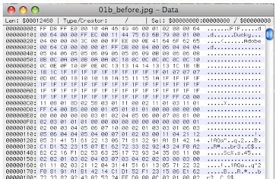 PEGACPSA24V1 Dumps