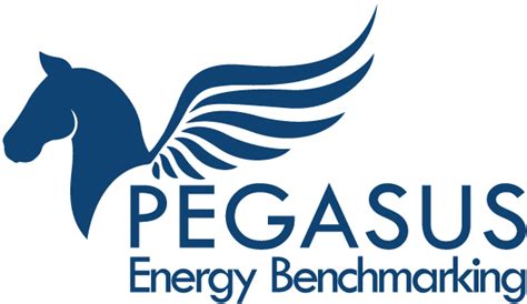 PEGASUS ENERGY POWER SL. Company Profile