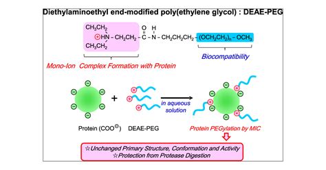 PEGylation technology