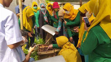 Pekarangan Si Madu - Taman Kasimadu Kedaireka - raincitystudios.com