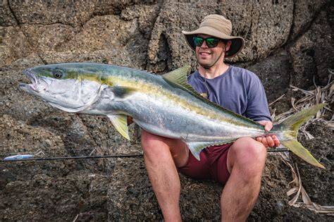Pelagic fish - raincitystudios.com