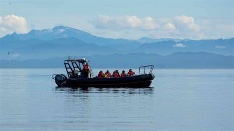 Pelagic habitats | Scotland's Marine Assessment 2020 - raincitystudios.com