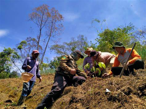 Pelaksanaan Rehabilitasi Hutan Dan Lahan - raincitystudios.com