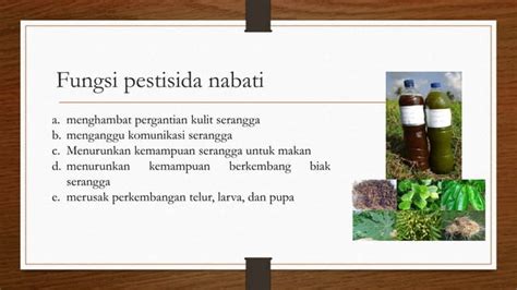 Pelatihan Pembuatan Pestisida Nabati sebagai Alternatif Pengendalian ... - raincitystudios.com