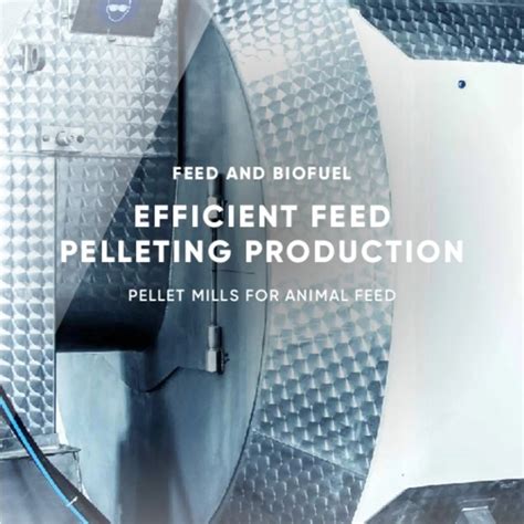 Pellet mills, animal feed - Andritz - raincitystudios.com