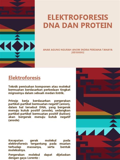 Pemahaman Elektroforesis DNA dan Protein - muktibox.com