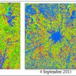 Pemanfaatan Citra Landsat 8 Multitemporal dan Model Forest Canopy ... - raincitystudios.com