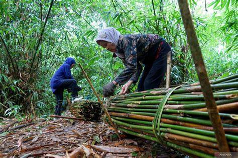 Pemanfaatan hutan - Wikipedia bahasa Indonesia, ensiklopedia bebas - raincitystudios.com