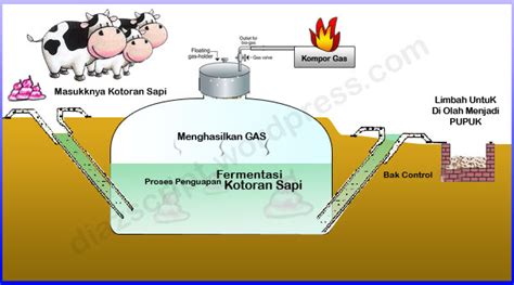 Pemanfaatan Limbah Kotoran Sapi Menjadi Biogas - wintechmobiles.com