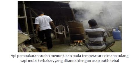 Pemanfaatan Limbah Tulang Sapi dalam Bentuk Inovasi - raincitystudios.com