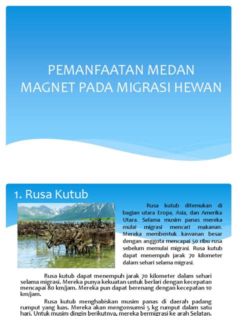 Pemanfaatan Medan Magnet pada Migrasi Hewan - Sodiqi - wintechmobiles.com