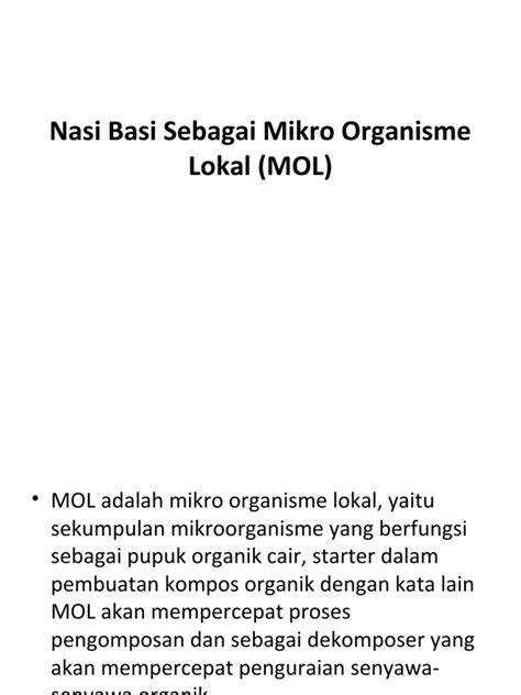 Pemanfaatan Nasi Basi Sebagai Mikro Organisme Lokal (MOL) Untuk ... - raincitystudios.com