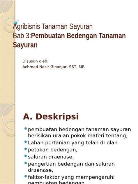 Pembuatan Bedengan Tanaman Sayuran | PDF - Scribd - raincitystudios.com